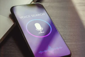 Voice search optimization