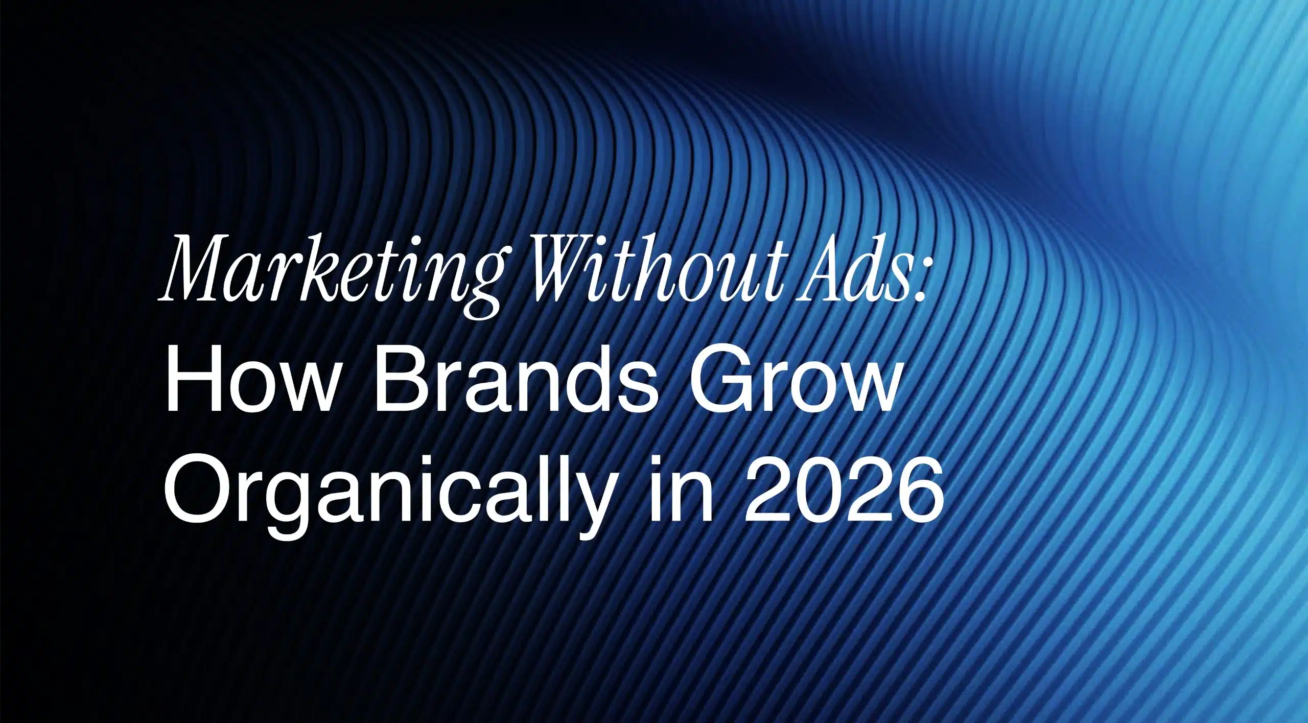 Marketing Without Ads